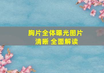 胸片全体曝光图片 清晰 全面解读